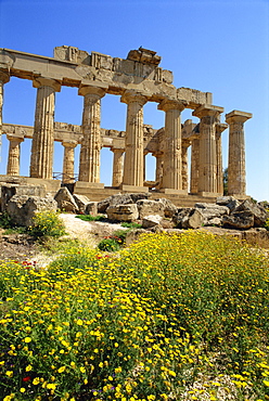 Wild flowers and the ruins of the Greek temples at Selinunte on the island of Sicily, Italy, Europe