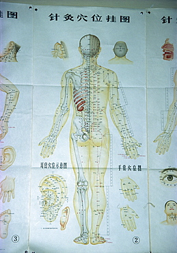 Illustration showing acupuncture points, China, Asia