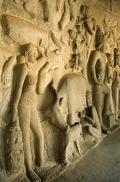 Shore Temple, Mahabalipuram, UNESCO World Heritage Site, Chennai, Tamil Nadu, India, Asia