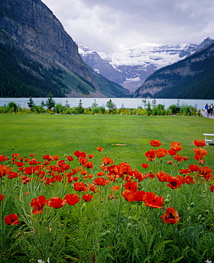 Lake Louise, Banff National Park, UNESCO World Heritage Site, Rocky Mountains, Alberta, Canada, North America