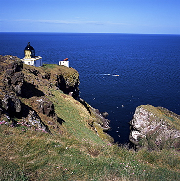 Lighthouse and sea-bird cliffs, St. Abb's Head, Berwickshire, Borders, Scotland, United Kingdom, Europe