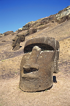 Close-up of moai heads still within the crater from where they were quarried and carved at Rano Raraku on Easter Island (Rapa Nui), UNESCO World Heritage Site, Chile, Pacific, South America