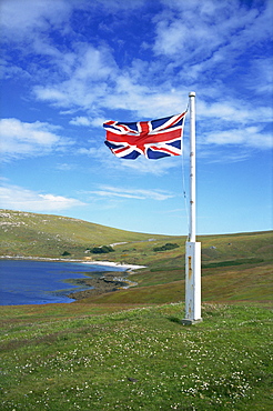 West Falkland, Westpoint Island, Falkland Islands, South America