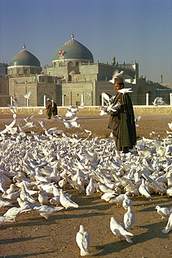 Man feeding white doves in front of the shrine of Ali at Mazar-i-Sharif in Afghanistan, Asia