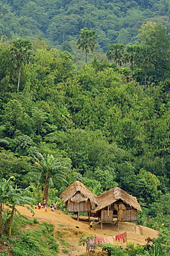 Aerial view over huts of the Orangasli Village and surrounding rainforest canopy, Malaysia, Southeast Asia, Asia