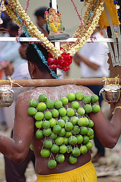 Close-up of a man's back with limes on hooks in his skin, and a small statue of Ganesh above his head, festival of Thaipusam in Singapore, Southeast Asia, Asia