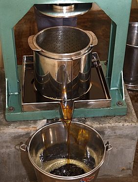 Ayurvedic Oil Production Process at Soukya Holistic Health Centre in India, Asia
