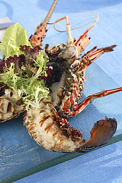 Seafood in Maldives, Asia