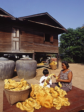 Family gathering raw silk in a village in Korat, Thailand, Southeast Asia, Asia