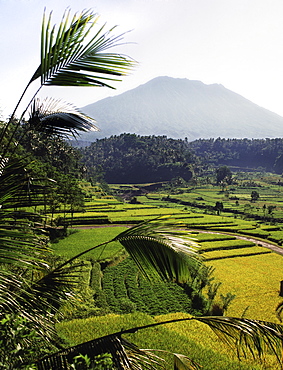 Batur, Bali, Indonesia, Southeast Asia, Asia