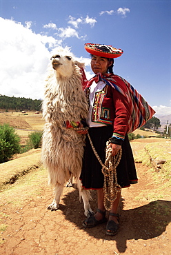 Portrait of a Peruvian girl in traditional dress, with an animal, near Cuzco, Peru, South America