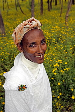 Portrait of a beautiful Ethiopian woman in the countryside near Gonder, The Ethiopian Highlands, Ethiopia, Africa