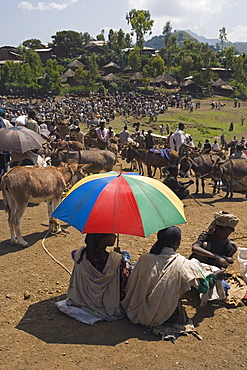 People walk for days to trade in this famous weekly market, Saturday market in Lalibela, Lalibela, Ethiopia, Africa