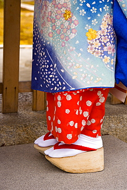 Maiko (apprentice geisha) wearing traditional Japanese kimono and okobo (tall wooden shoes), Kyoto, Kansai region, island of Honshu, Japan, Asia