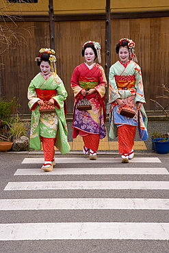 Maiko (apprentice geisha) walking in the streets of the Gion district wearing traditional Japanese kimono and okobo (tall wooden shoes), Kyoto, Kansai region, island of Honshu, Japan, Asia