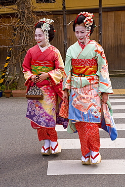 Maiko (apprentice geisha) walking in the streets of the Gion district wearing traditional Japanese kimono and okobo (tall wooden shoes), Kyoto, Kansai region, island of Honshu, Japan, Asia