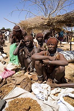 Women of the Hamer tribe, their hair treated with ochre, water and resin and twisted into tresses known as goscha, Lower Omo Valley, southern Ethiopia, Ethiopia, Africa