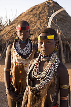 Hamer tribe, Lower Omo Valley, southern Ethiopia, Ethiopia, Africa