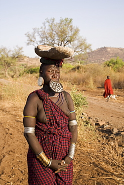 Mursi woman with clay lip plate, Mursi Hills, Mago National Park, Lower Omo Valley, Ethiopia, Africa