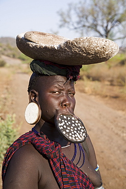 Portrait of a Mursi woman with clay lip plate, Mursi Hills, Mago National Park, Lower Omo Valley, Ethiopia, Africa