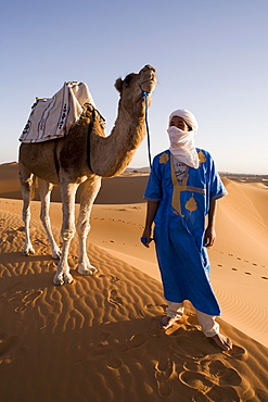 Berber man standing with his camel, Erg Chebbi, Sahara Desert, Merzouga, Morocco, North Africa, Africa