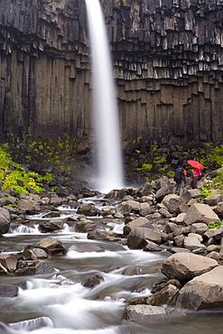 Svartifoss (Black Falls) waterfall, its name originating from the overhanging black basalt columns, Skaftafell National Park, southern Vatnajokull, Iceland, Polar Regions