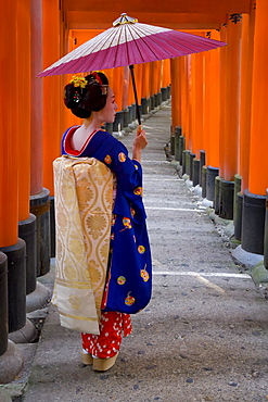 Portrait of a geisha holding an ornate umbrella at Fushimi-Inari Taisha shrine, which is lined with hundreds of red torii gates, Kyoto, Kansai region, Honshu, Japan, Asia