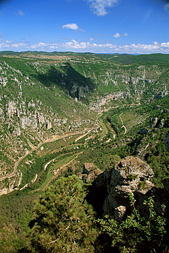 View from Roc des Hourtous of the Gorges du Tarn, Lozere, Languedoc-Roussillon, France, Europe