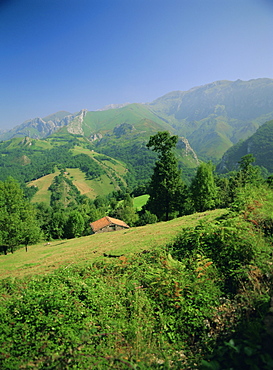 Sierra Dobros, Picos de Europa mountains, (Green Spain), Asturias, Spain