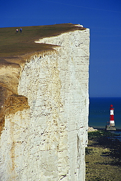 Beachy Head, South Downs, Sussex, England, United Kingdom, Europe