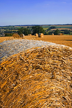 Hay bales, seen from the Cotswolds Way footpath, The Cotswolds, Gloucestershire, England, United Kingdom, Europe