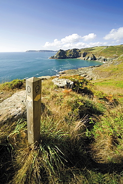 South West Devon coastal footpath approaching Gammon Head, Prawle Point, South Hams, Devon, England, United Kingdom, Europe