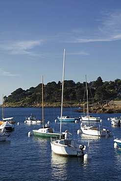 Trebeurden harbour, Cote de Granit Rose, Cotes d'Armor, Brittany, France, Europe