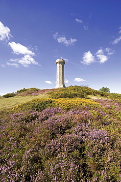 View from the Thomas Hardy monument, Dorset, England, United Kingdom, Europe