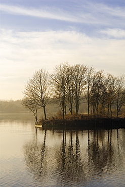 Winter landscape of the lake, Arrow Valley Country Park, Redditch, Worcestershire, England, United Kingdom, Europe