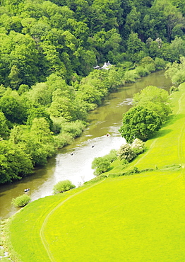 The River Wye and Wye Valley from Symonds Yat rocks, Herefordshire, England, United Kingdom, Europe