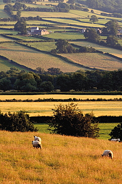 Brecon Beacons National Park, Powys, Wales, United Kingdom, Europe