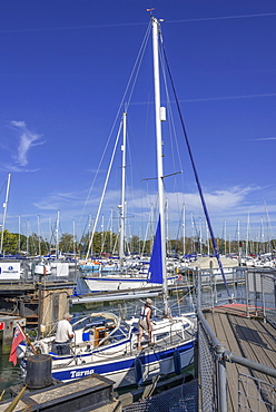 Chichester harbour, estuary, West Sussex, England, United Kingdom, Europe