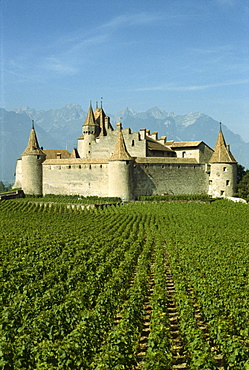 Chateau d'Aigle, Switzerland, Europe