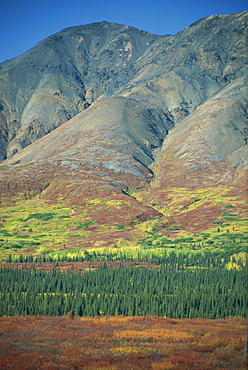 Tundra, Broad Pass, Denali National Park, Alaska Range, Alaska, United States of America, North America