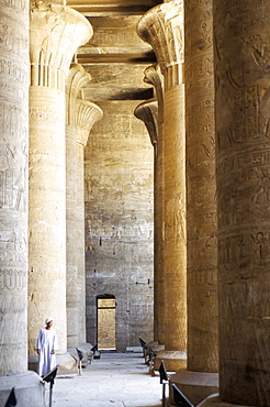 Columns in the hypostyle hall, Temple of Horus, Edfu, Egypt, North Africa, Africa