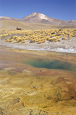 El Tatio geyser basin on altiplano, boiling pool with algal colour zoning, Atacama Desert, Chile, South America