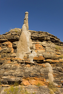 Sandstone hills and termite mounds in The Domes area of Purnululu National Park (Bungle Bungle), UNESCO World Heritage Site, Western Australia, Australia, Pacific 