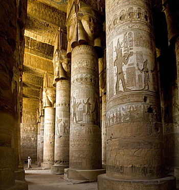 The Outer Hypostyle Hall in the Temple of Hathor, Dendera necropolis, Qena, Nile Valley, Egypt, North Africa, Africa 