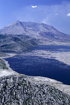 Blast area of 1980 eruption with destroyed forest, floating timber on Spirit Lake and new crater, Washington State., United States of America (U.S.A.), North America