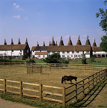 Oast houses at Whitbread Hop Farm, Tonbridge, Kent, England, United Kingdom, Europe