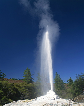 The Lady Knox Geyser in the Waiotapu Thermal Area at Rotorua, North Island, New Zealand, Pacific