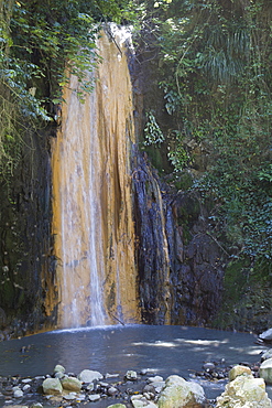 Botanical gardens, Diamond Falls, Soufriere, St. Lucia, Windward Islands, West Indies, Caribbean, Central America