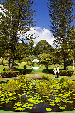 Botanical Gardens, Kingstown, St. Vincent, St. Vincent and the Grenadines, Windward Islands, West Indies, Caribbean, Central America