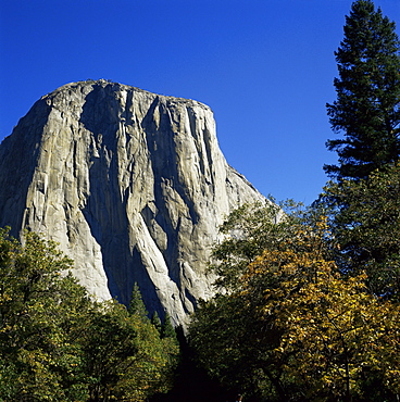 El Capitan, Yosemite National Park, UNESCO World Heritage Site, California, United States of America (U.S.A.), North America